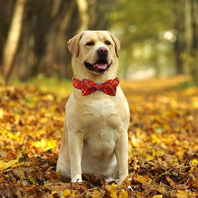 Fall Dog Collar, Pet Collar Bow Plaid Pet Collars Girl Boy Holiday Pet Collars Gift Bow Collars Cute Soft Puppy Collars for X-Large Dogs