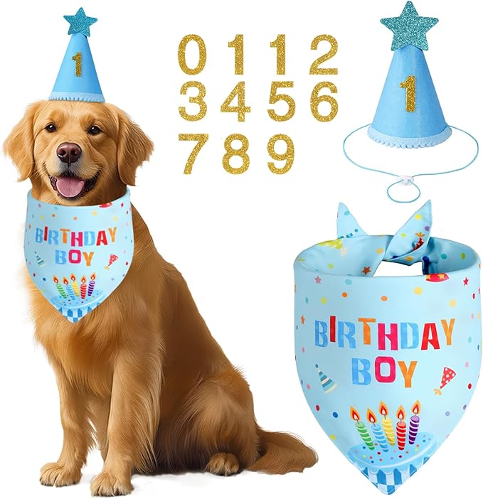 Dog Birthday Party Supplies with Hat Bandana Numbers, Light Blue Dog Birthday Set for Large Medium Pets Puppy Boy