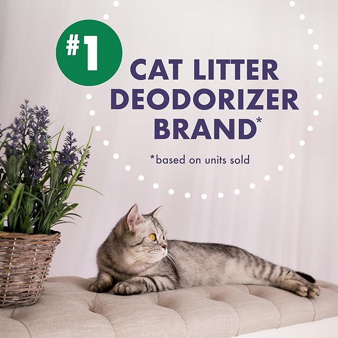 Arm & Hammer Forever Fresh Cat Litter Deodorizer, Wild Lavender, Essential Oils, Baking Soda Odor Neutralizer, 30 oz. Pack of 6 (Packaging May Vary)