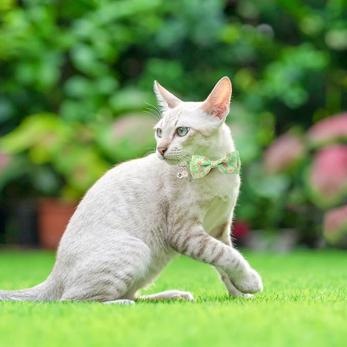 SCENEREAL Cat Collar with Bells, 2 Pcs Breakaway Cat Collars with Adustable Bowtie, Safety Kitten Collar for Boy Girl Cats Puppy, Cute Spring Summer Rainbow & Floral Pet Collar, Green & Purple