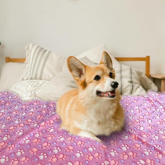 Dog Blankets for Medium Large Dogs Washable, 3 Pack Pet Blanket Washable 41" x 31", Fuzzy Soft Puppy Throw Cover for Kennel Crate Bed
