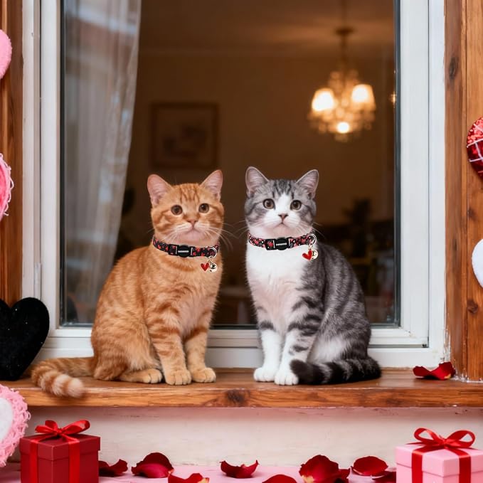 Cat Collar,2 Pack Cat Collars Breakaway with Bell, DOGWONG Safety Buckle Valentine's Day Cat Collar Cute Heart for Girl Boy Cats and Small Dogs，Adjustable 7-12 Inch,Pet Supplies Accessories
