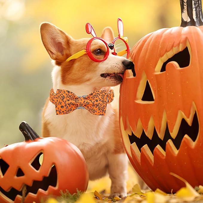 Halloween Dog Collar, Pet Collar Dog Bow Pumpkin Pet Collar Girl Boy Holiday Pet Dogs Collar Gift Bow Dogs Collar Cute Soft Puppy Collar for X-Large Dog