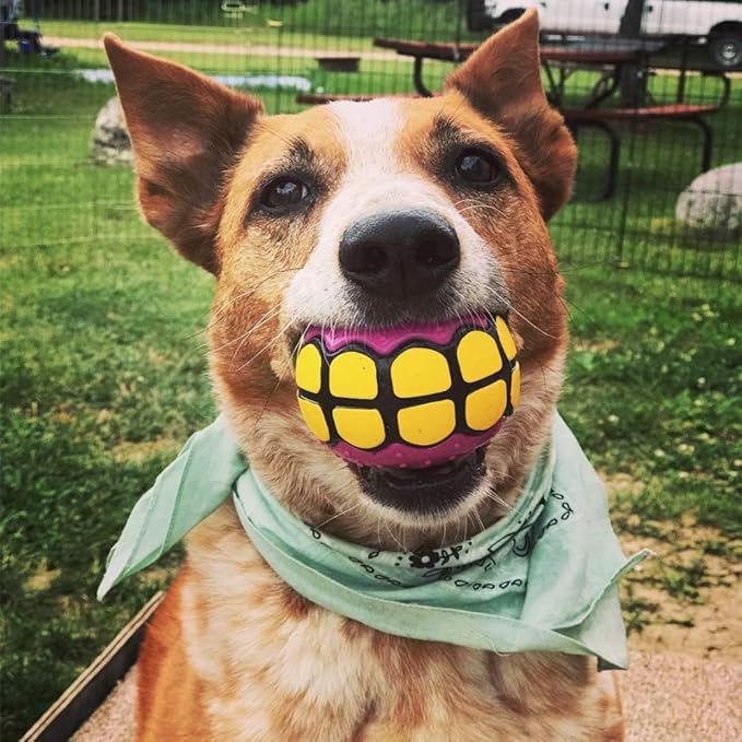 Dog Balls Toys Squeaky Fetch - Rubber Funny Ball Gifts for Large Medium Dogs (Variety Pack)
