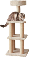 Amazon Basics Cat Tree Tower - Multi-Level Climbing Activity Center for Indoor Cats & Kittens with Scratching Posts, Platform, Jute Rope, Large (45.9"H), Beige