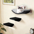 Cat Wall Shelves Set - Curved Wall Foam Bed and 2 Floating Wall Grey Steps, Wall Mounted Cat Climbing Shelves for Sleeping, Playing, and Lounging