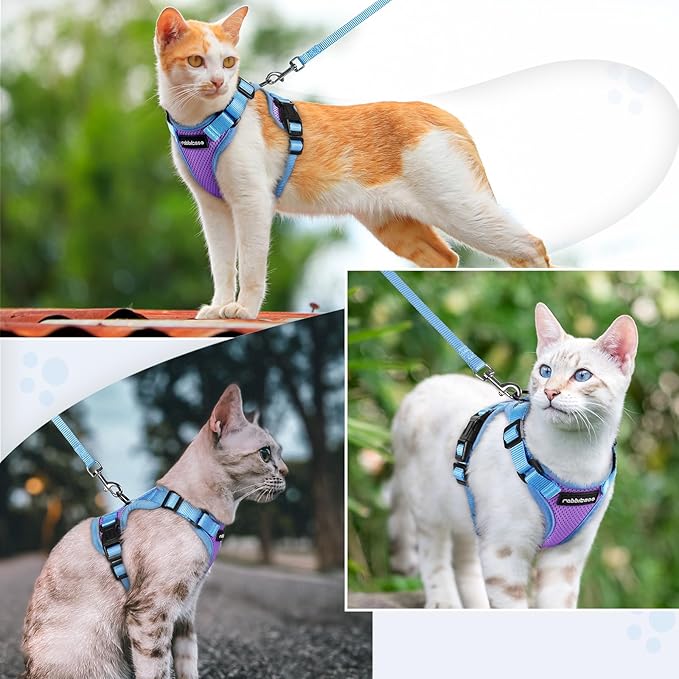 rabbitgoo Cat Harness and Leash Set, Escape Proof Soft Adjustable Vest Harnesses for Outdoor Walking, Easy Control Breathable Kitten Jacket with Reflective Strips, Purple & Blue, M
