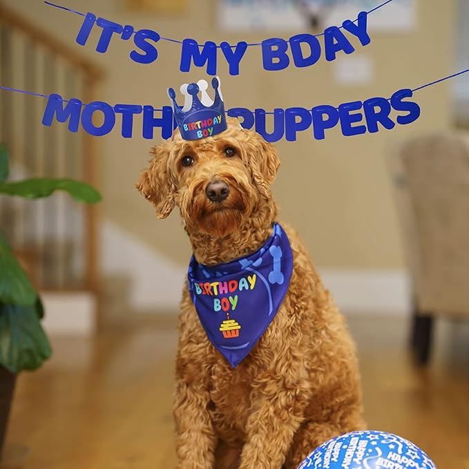 Dog Birthday Party Supplies - Bandana Set with Party Hat, Crown and Banner - 'It's My Birthday Mother Puppers' for Medium, Large Dogs