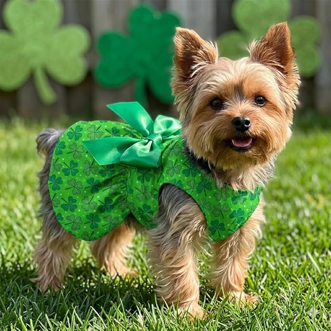 St. Patrick's Day Dog Dress Custom Name Puppy Outfit with Clover Cute Pet Skirt for Small Dogs & Cats