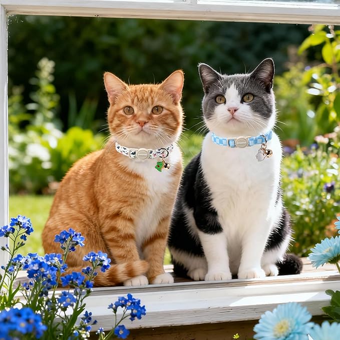 2 Pack Dinosaur Cat Collars Breakaway with Bell, DOGWONG Safety Buckle Bluee Plaid Cute Cat Collar for Girl Boy Cats，Adjustable 7-12 Inch