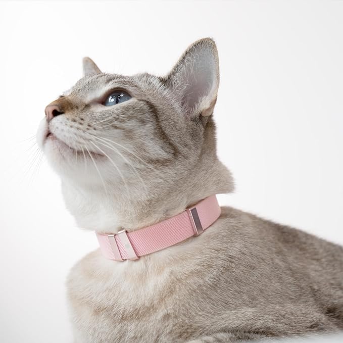 Safety Cat Collar - U.S. IDA Gold Awarding Design, Stretch Elastic Quick Release, Non Breakaway - Light Weight for Kitten, Neck Fit 5.9'-11.8' for All Small Large Cat,S(Gold Champagne)
