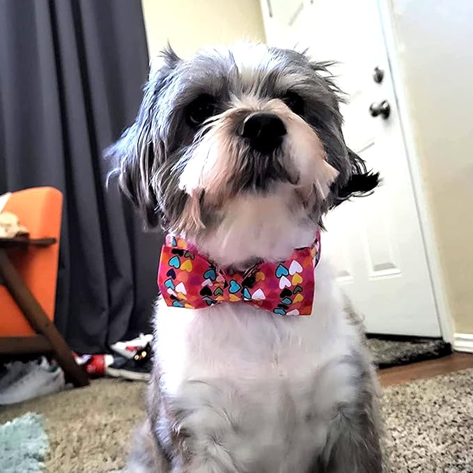 Lionheart glory Valentine's Dog Collar, Dog Collars with Bow, Pet Collar Adjustable Dogs Bowtie Pet Collars for Small Dogs