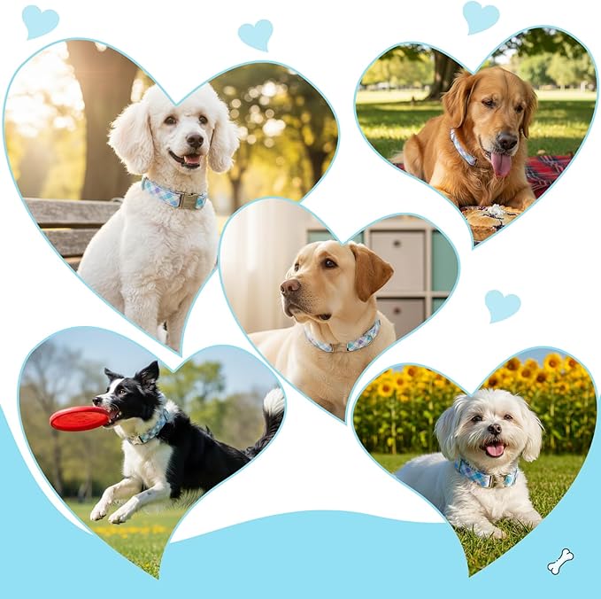Cotton Collar for Dog，Soft Adjustable Dog Collars for Large Dogs, Cute Dog Collar with Blue & White Plaid for Small Medium Large Dogs, Perfect for Girl or Boy Dog Collars-L