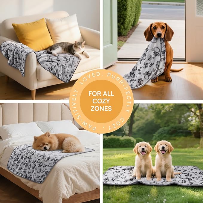 Luciphia 1 Pack 6 Dog Blankets Cat Soft Fluffy Fleece Pet Blanket Warm Cute Print Design Puppy Kitten Doggy Paw Grey Medium(30"x20")