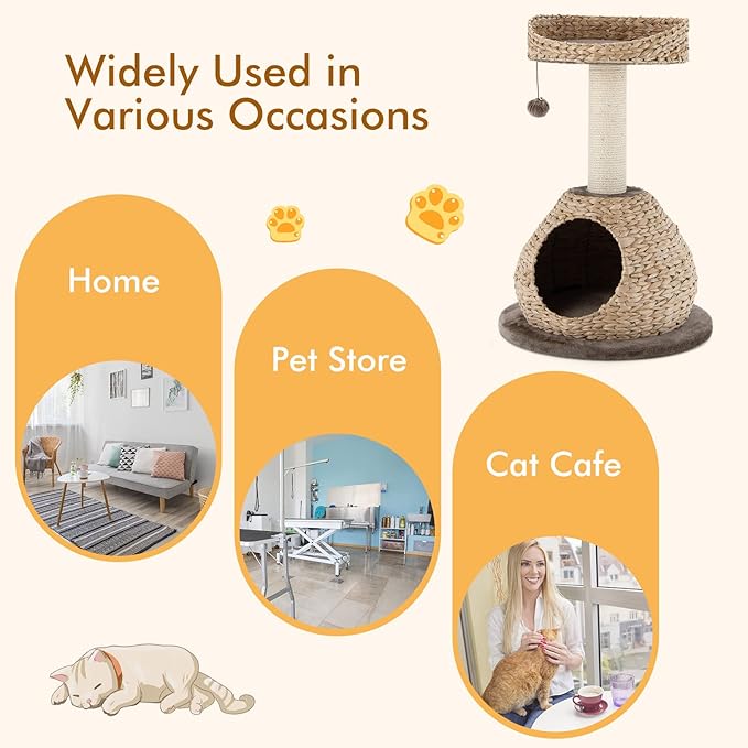 PETSITE Modern Cat Tree Tower, Paper Rope Natural Bowl Shaped with Perch, Scratching Post, Rattan Cat Activity Tree for Kittens, 28" Tall