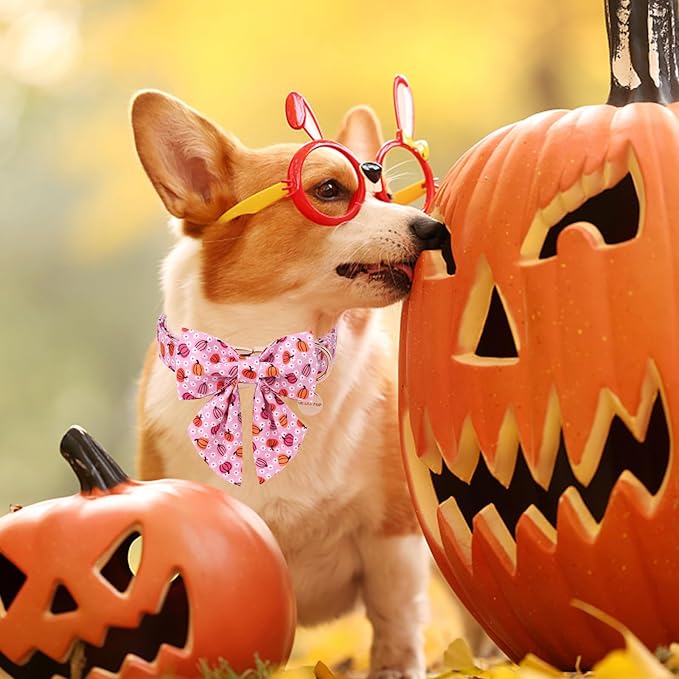 Halloween Pumpkin Dog Collar with Bow Tie, Pink Halloween Puppy Bowtie Collar with Adjustable Metal Buckle,Fancy Dog Collar Bowtie for Girl Boy Dog,XL