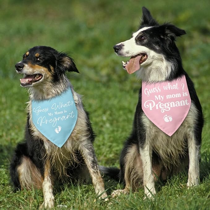 2 Packs Baby Announcements Ideas Guess What? My Mom is Pregnant Pregnancy Announcement Dog Bandana Gender Reveal Pet Dog Triangle Scarf Accessories for Small Medium Large Dogs Cats
