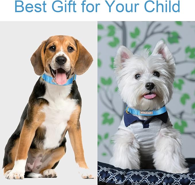 Nylon Dog Collar - Adjustable Blue Soft Webbing Dog Collars for Small Medium Large Dogs Boy Girl Puppy Collar with Safety Metal Buckle XS