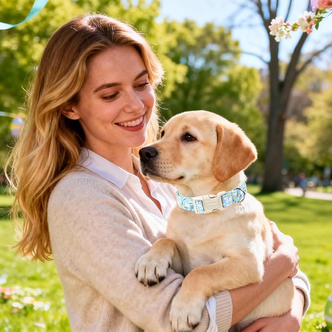 DOGWONG Easter Dog Collar-Cute Easter Rabbit Bunnies Egg Dog Collar, Adjustable Soft Easter Dog Collar for Small Medium Large Dogs, L