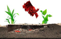 Shrimp Breeding Protector | Shrimp Breeding Cave Aquarium Tunnel | CTWPets (Brown)
