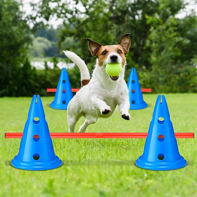 10 Sets Dog Agility Hurdle Cone Set 20 Pcs Exercise Cones with 10 Pcs Rods Adjustable Obstacle Portable Agility Training Equipment Canine Pole(Blue and Orange)