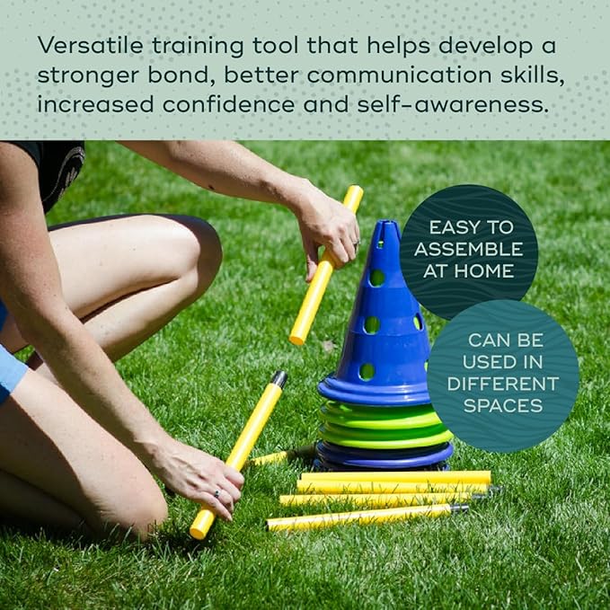 FitPAWS Ball Dynamics CanineGym Agility Kit