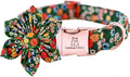 Lionheart Glory Floral Dog Collar - Adjustable, X-Large, Cute Floral Pattern