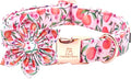Lionheart Glory Pink Peach Dog Collar with Flower Bow for Small Dogs