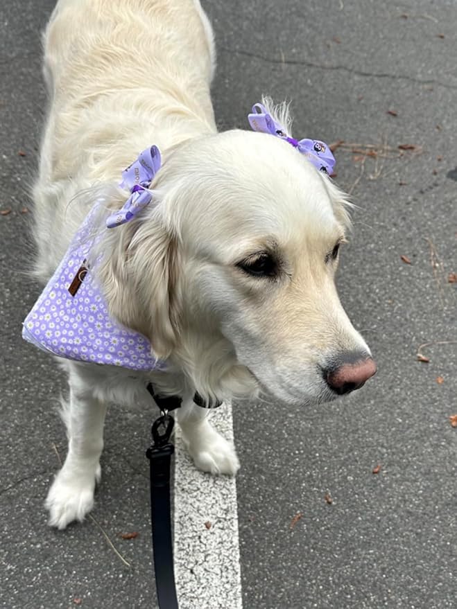 Lionet Paws Spring Daisy Dog Bandana Washable Cotton Handkerchief Scarf Triangle Purple Bandana for Small Medium Large Dogs Girl Boy
