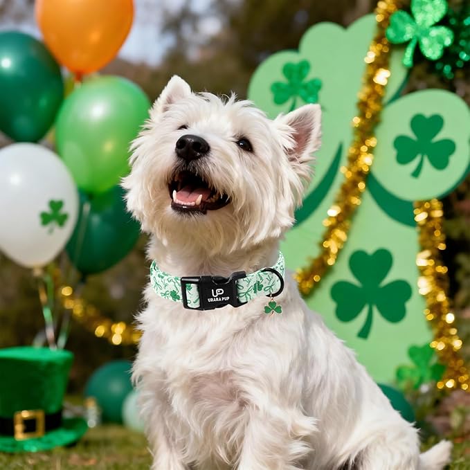 St. Patrick's Day Dog Collar, UP URARA PUP Shamrock Adjustable Pet Collar with Quick Release, Daily Dog Accessories for Small Medium Large Dogs