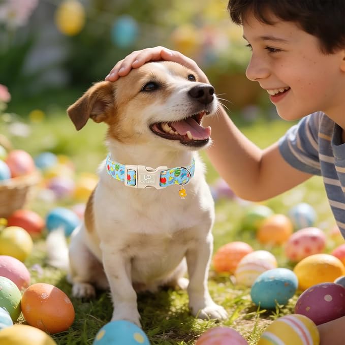 Easter Day Dog Collar, UP URARA PUP Easter Bunny Adjustable Pet Collar with Quick Release, Colorful Rabbits Dog Collars for Small Medium Large Dogs