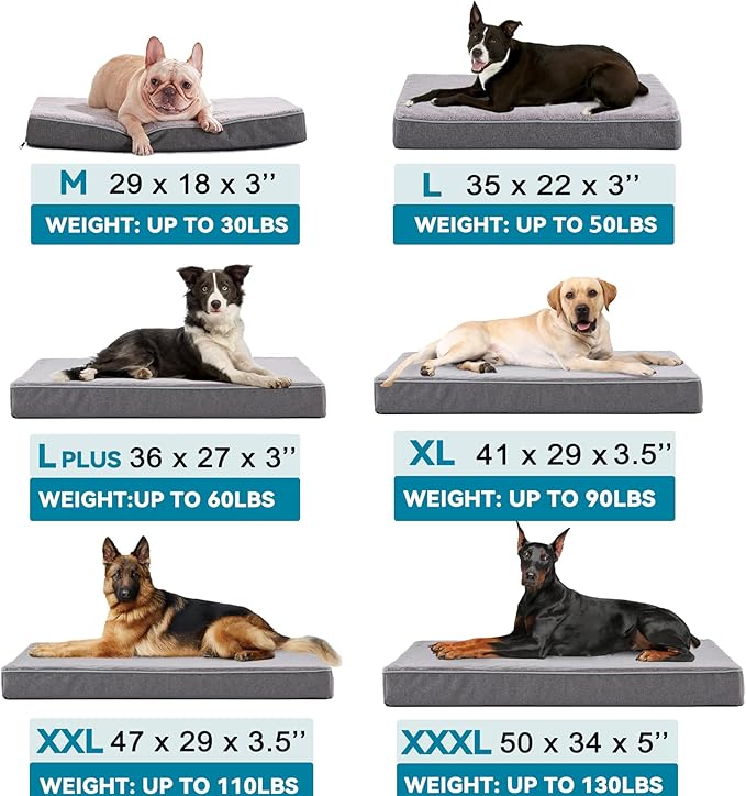 Medium Dog Beds for Medium Dogs, Memory Foam Dog Bed, Orthopedic Small Dog Bed with Washable Cover & Waterproof Liner, Plush Puppy Bed with Anti-Slip Bottom (29’’x 18’’)
