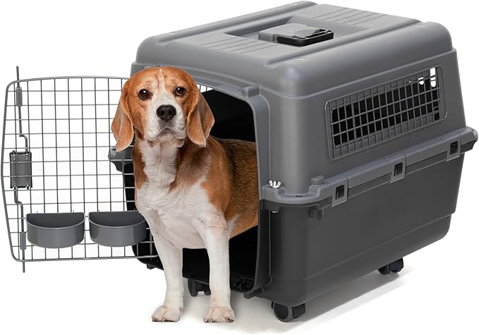 SportPet Airline Compliant MEDIUM 24.25" Travel Dog Kennel-Durable Plastic Airline Pet Carrier w/ Removable Wheels & Food Bowls, Collapsible Indoor/Outdoor Dog Kennel, Dogs up to 23"L & 15"H-Dark Gray