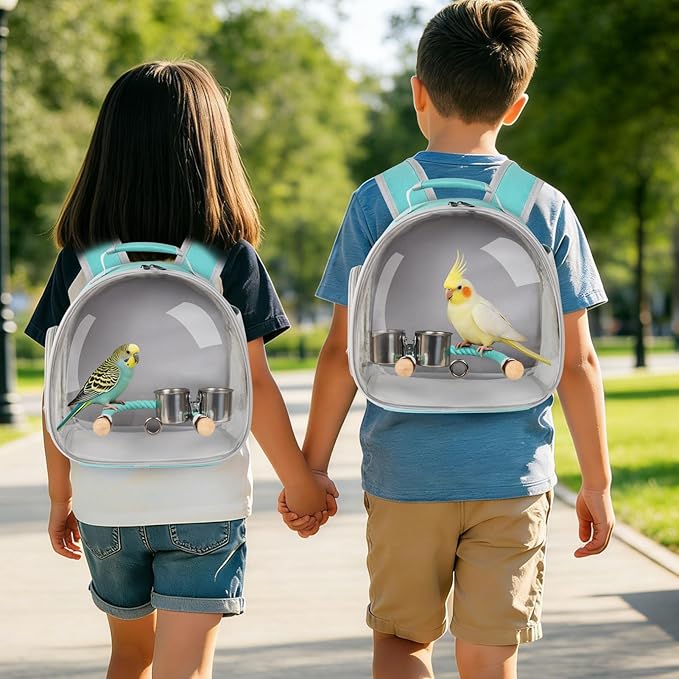 Small Bird Travel Backpack Carrier Cage, Backpack to Transport Backpack Carrier with Clamp Cups Stand Perch for Parakeet Cockatiel Budgies Vet Carry Book Bag Green
