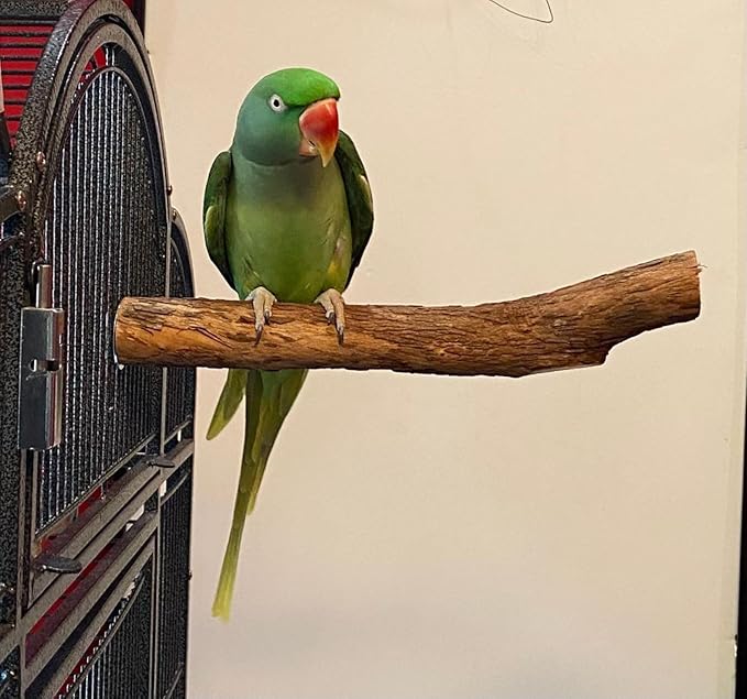 Polly's Hardwood Bird Perch, Large