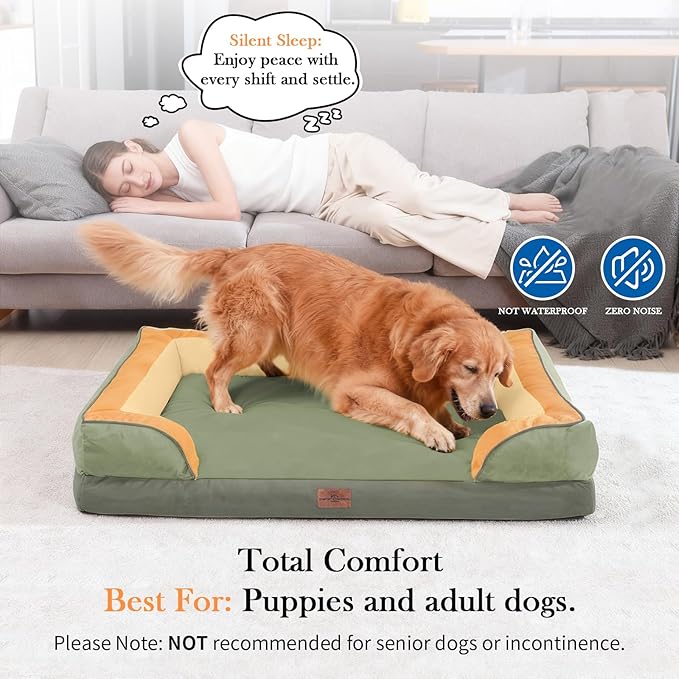 Comfort Expression Orthopedic Dog Bed for Large Dogs 36x27 Inch, Waterproof Egg Crate Foam Large Pet Bed with Removable Bolsters, Dog Couch with Washable Cover & Non-Slip Bottom, Avocado
