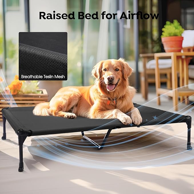 Veehoo Orthopedic Elevated Dog Bed + Removable Fluffy Pillow-Top Mat, Plush Raised Dog Bed with Bolster, Breathable Mesh, No-Slip Feet, Dog Sofa Bed for Indoor & Outdoor, 59"x37.5", XXLarge, CWC2331E