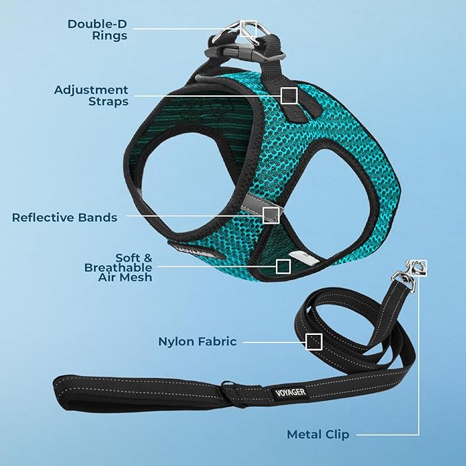 Best Pet Supplies Voyager Step-in Air All Weather Mesh Harness and Reflective Dog 5 ft Leash Combo with Neoprene Handle, for Small, Medium and Large Breed Puppies - Turquoise (2-Tone), L
