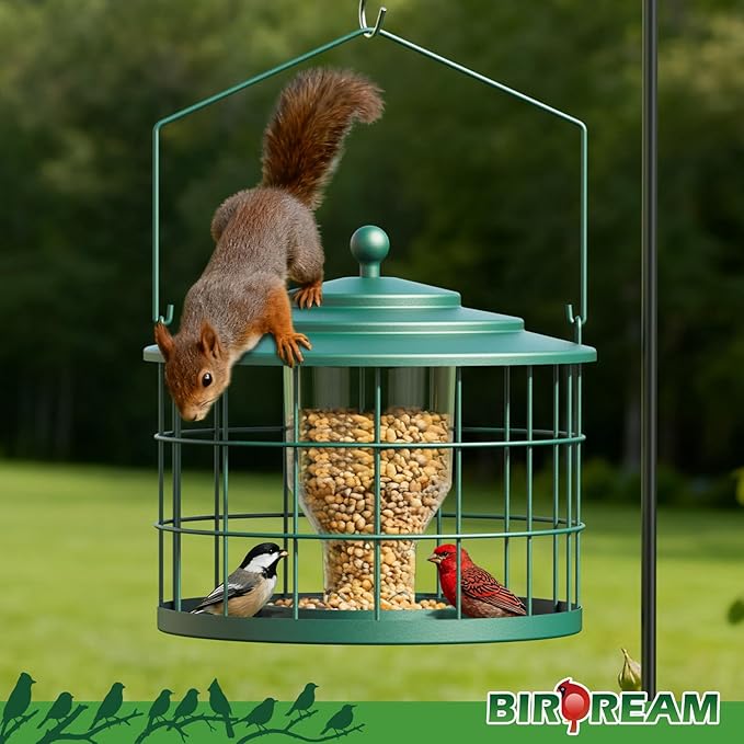 Squirrel Proof Bird Feeder, Metal Cage Bird Feeder for Outdoors Hanging, Starling Resistant Design for Small Birds, Weatherproof with Drain Holes, Easy to Refill, Green