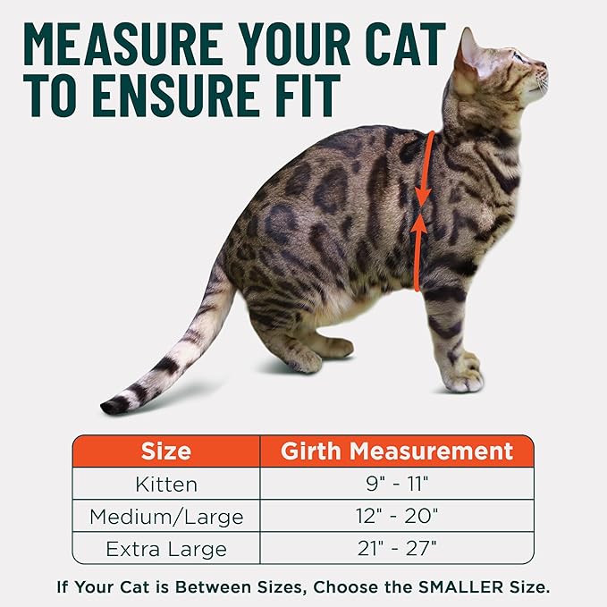 Houdini™ Escape Proof Cat Harness and Leash Set by OutdoorBengal – Tactical Vest for Walking – Extra Large, Adjustable, Long - Houdini Cat Harness Escape Proof for Large Cats + Leash (Multicolor, XL)