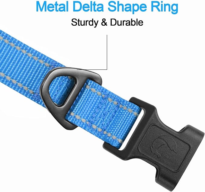 Joytale Reflective Dog Collar, Soft Neoprene Padded, Metal D-Ring, Nylon Pet Collar Adjustable for Small Dogs, Sky Blue, S