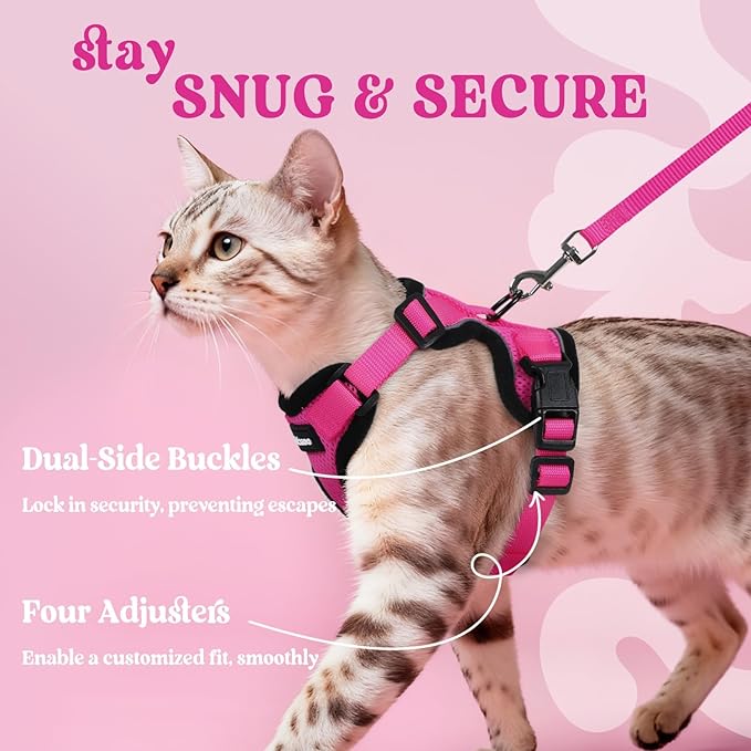 rabbitgoo Cat Harness and Leash for Walking, Escape Proof Soft Adjustable Vest Harnesses for Cats, Easy Control Breathable Reflective Strips Jacket, Rose Red, XS