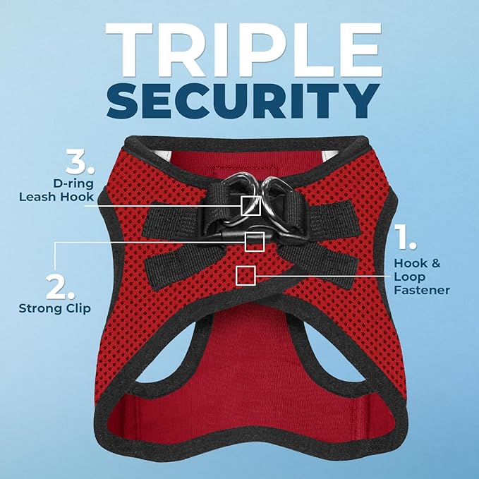 Best Pet Supplies Voyager Step-in Air All Weather Mesh Harness and Reflective Dog 5 ft Leash Combo with Neoprene Handle, for Small, Medium and Large Breed Puppies - Red/Black Trim, Medium