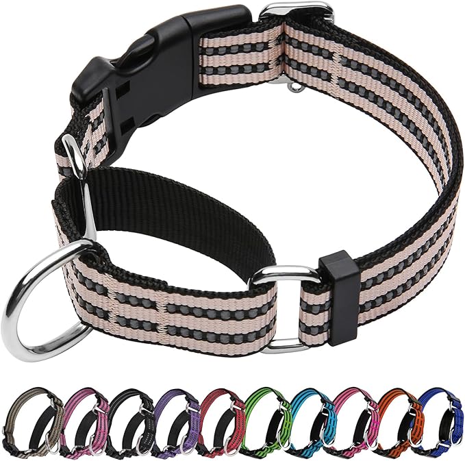 Martingale Dog Collar, Adjustable Nylon Reflective Collar with Quick Release Buckle (Pink Ivory, Medium)