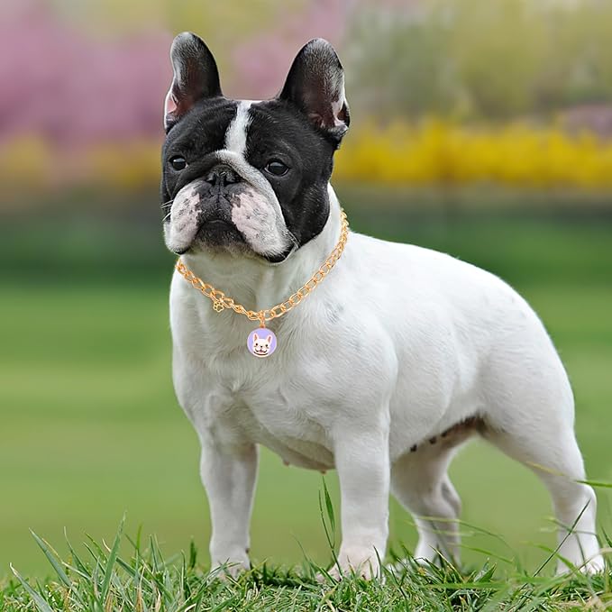 HOWWFALY Dog Collar and Cat Chain Necklace Stainless Steel Adjustable 18K Gold Heart-Shaped Necklace for Small Pets Cats Kitten Puppy (Gold, 17.7 inch)