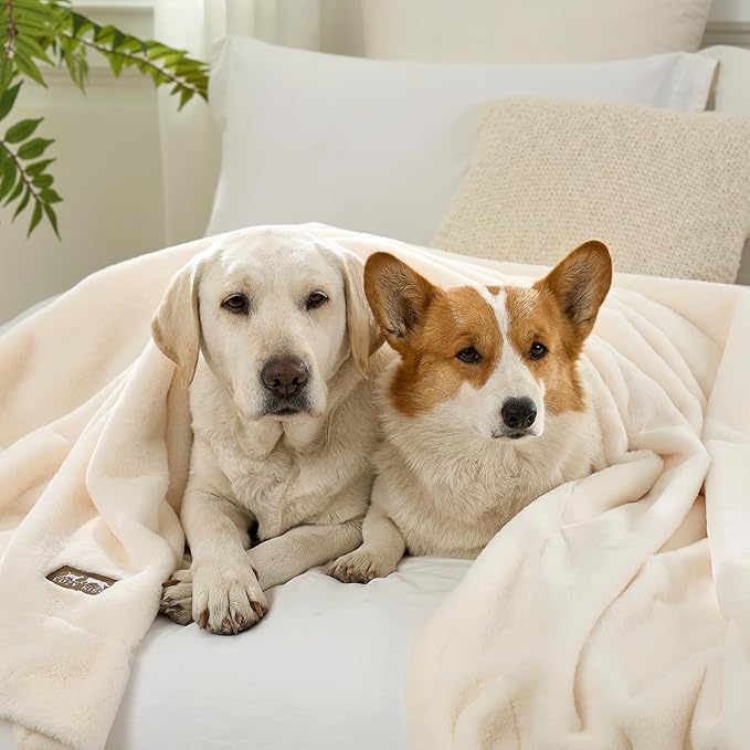 Luxury Faux Fur Throw Blanket for Couch, Ultra Soft Waterproof Pet Blanket, Cozy Warm Plush Blanket for Sofa Bedroom Living Room, Liquid Pee Proof for Large Dog or Cat, 50x60 inch, Cream