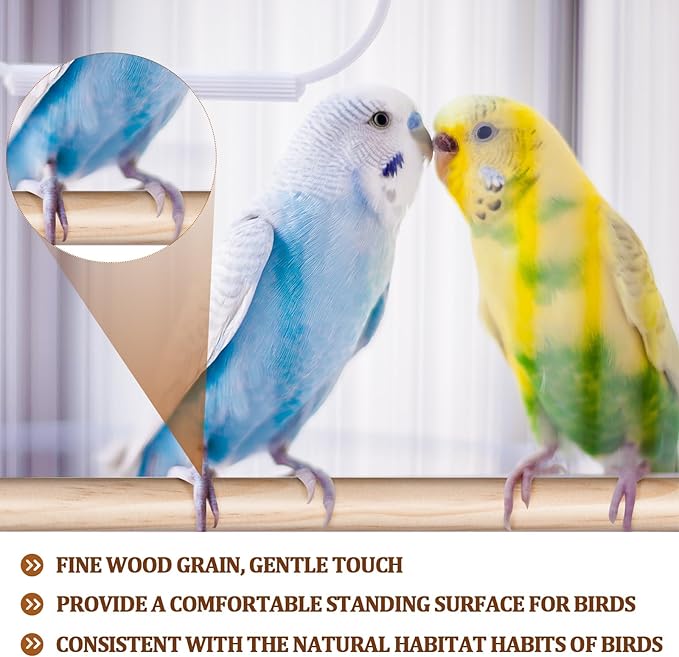 Sintuff 8 Pcs Bird Perches for Cage Accessories, Wooden Perch Rods Replacement with Double Head Slots, 0.6 Inch Diameter Natural Wood Stand for Parrot Macaw Cockatoo Parakeet(24 Inches)