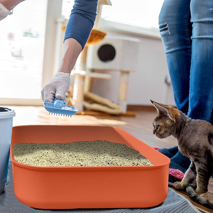 Small Litter Box, Plastic Kitten Litter Box, 13.9 x 9.8 x 3 Inch Open Litter Box for Small Pet, Easy to Clean (Orange 4PCS)