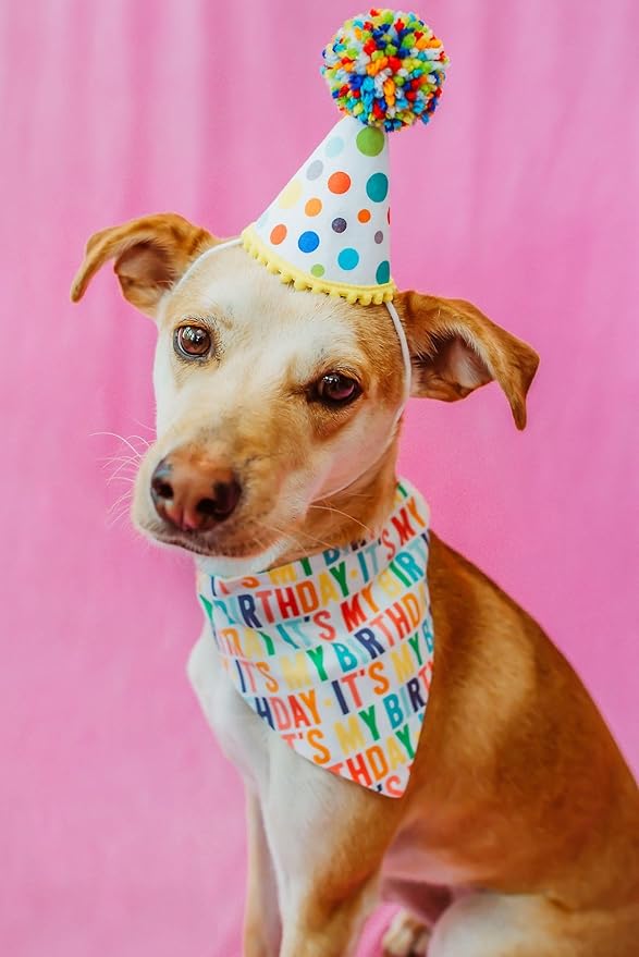 Birthday Dog Bandanas 1 Pack, Colorful HBD Dog Scarfs for Boy and Girl, Pet Scarves for Boy and Girl Bandanas for Small Medium Large Dogs (It's My Birthday, One Size)