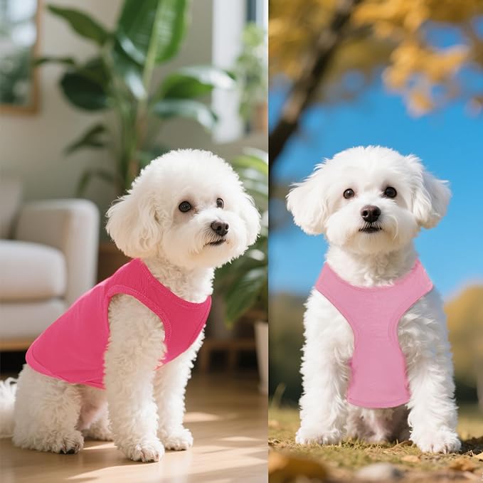 4 Pcs Cat Shirts Solid Color Dog Clothes Summer Sleeveless Pet T Shirts for Small Pet Dogs Cat (Black,Pink,Grey,Rose red, Small)